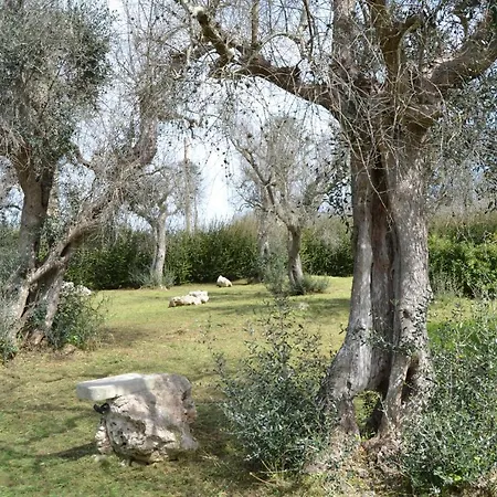 Holiday home Dolce Pajara Maglie